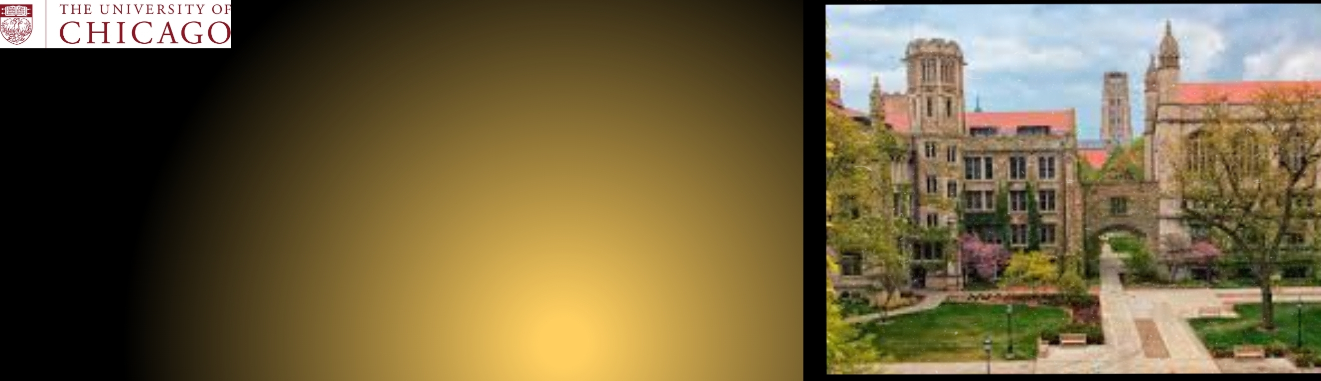 University of Chicago